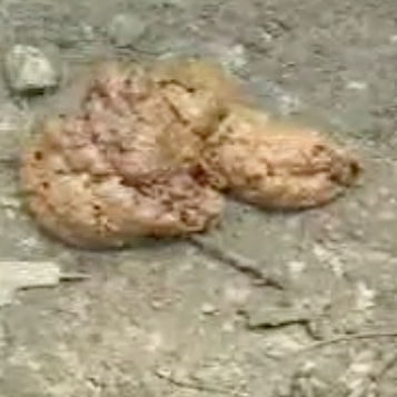 upside down deepthroat closeup anus farting